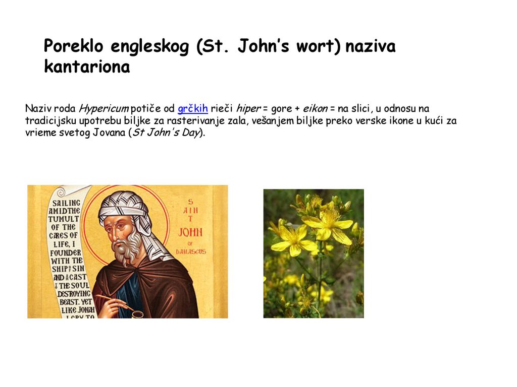 Poreklo engleskog (St. John’s wort) naziva kantariona
