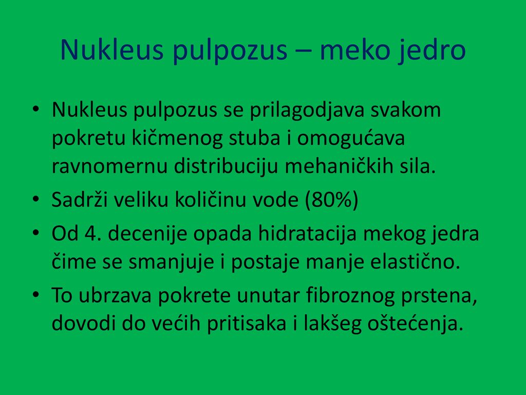 Nukleus pulpozus – meko jedro