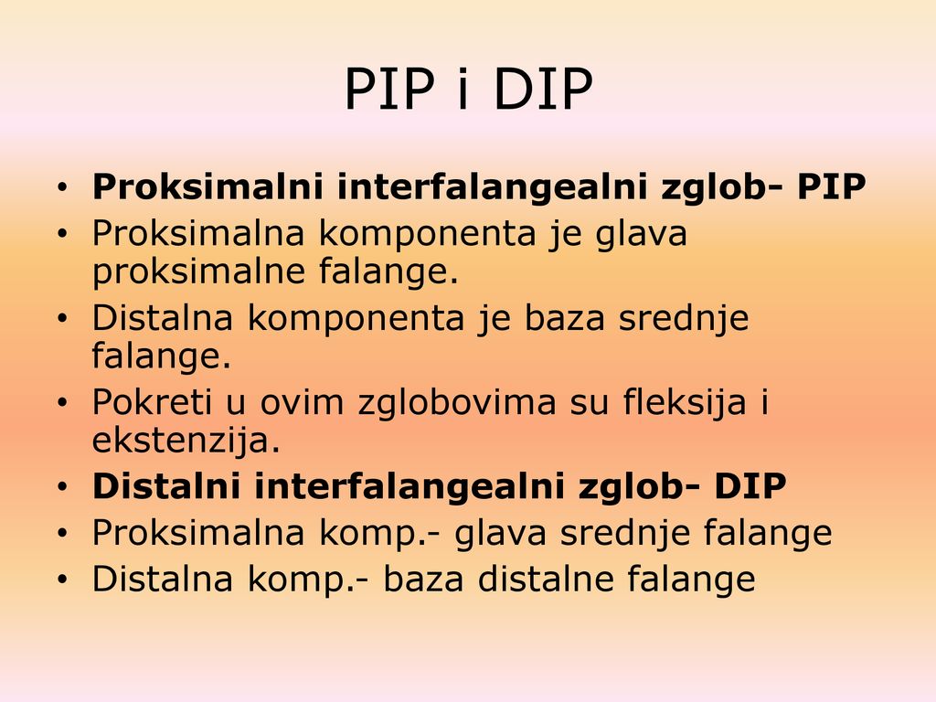PIP i DIP Proksimalni interfalangealni zglob- PIP