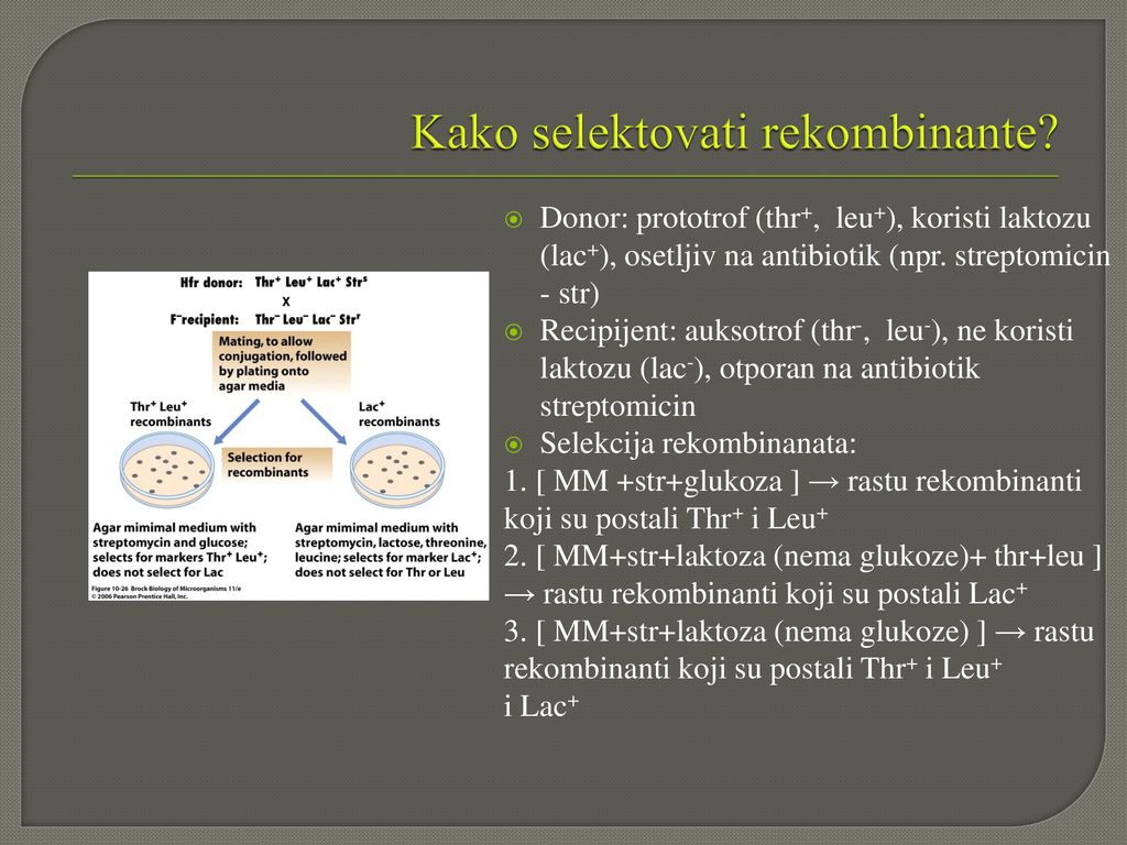 Kako selektovati rekombinante
