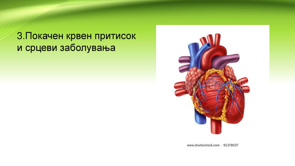 3.Покачен крвен притисок и срцеви заболувања