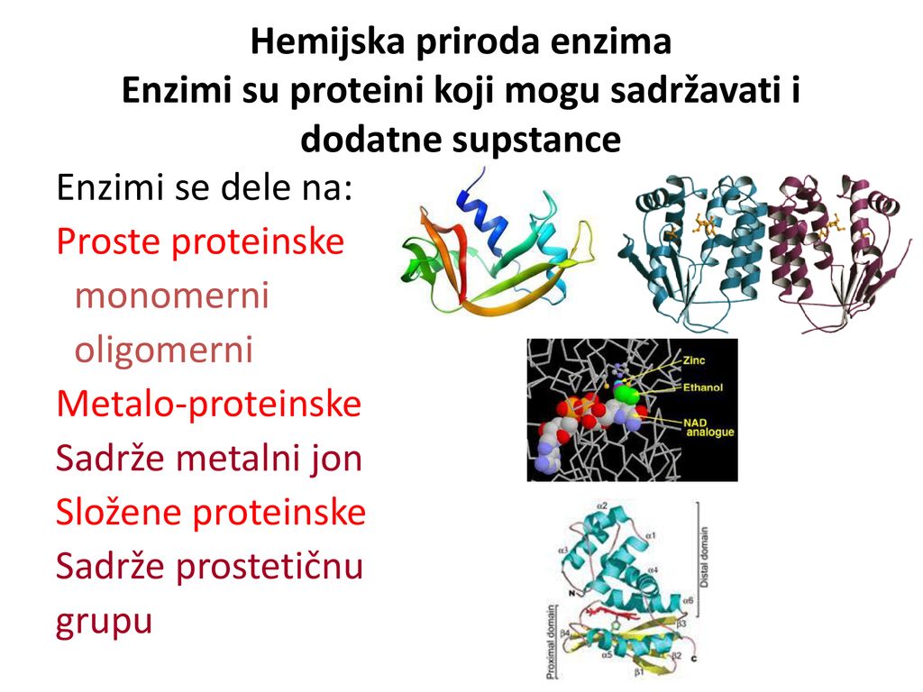 Hemijska priroda enzima Enzimi su proteini koji mogu sadržavati i dodatne supstance