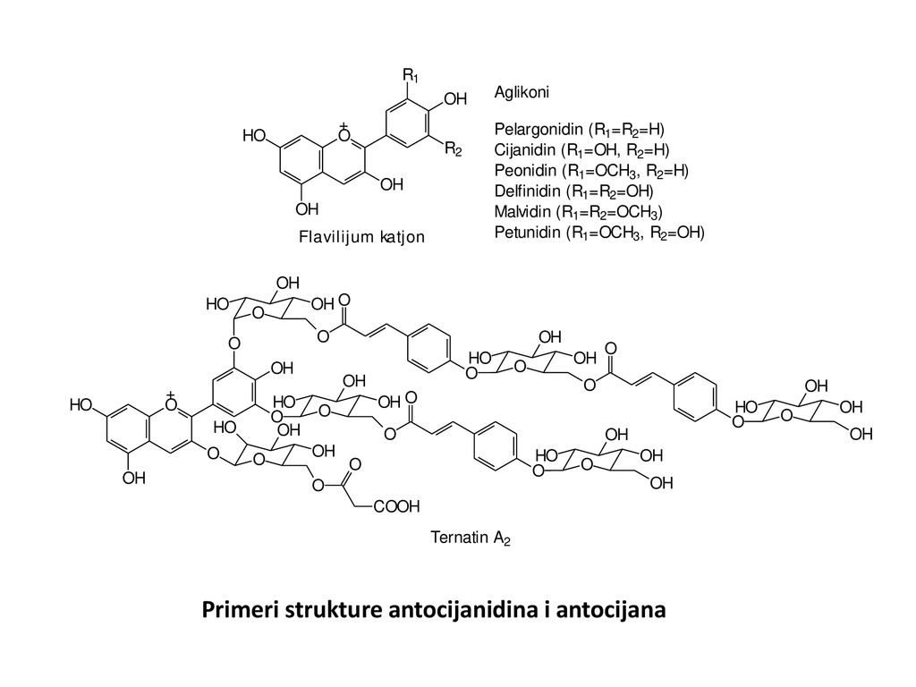 Primeri strukture antocijanidina i antocijana