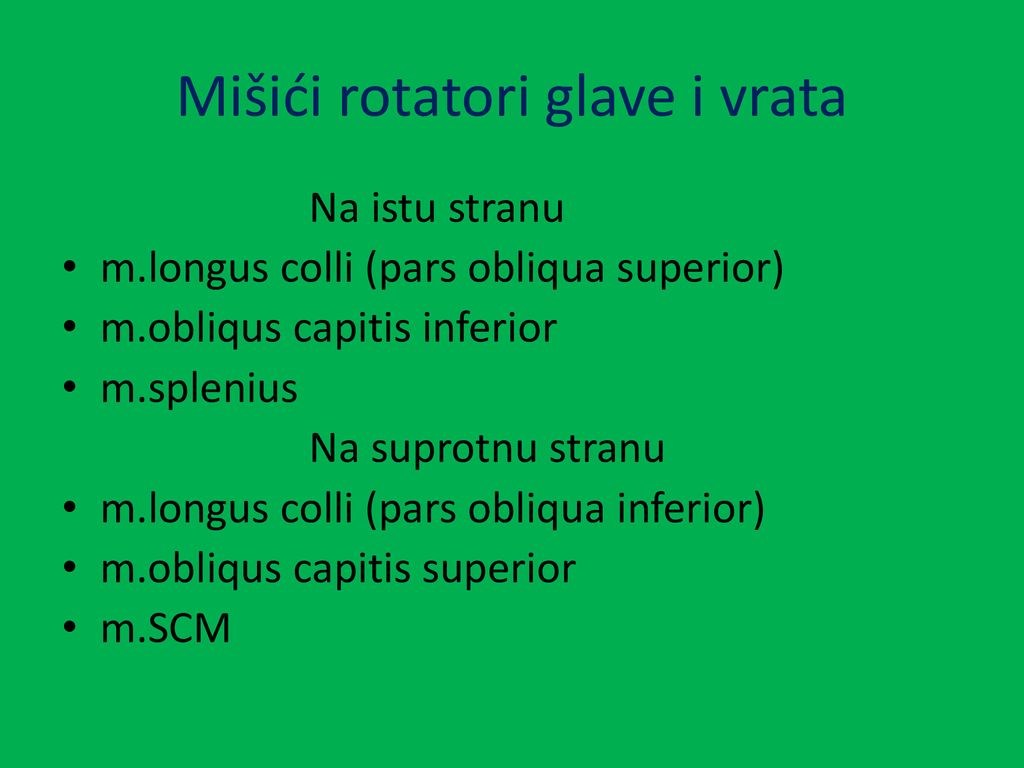 Mišići rotatori glave i vrata