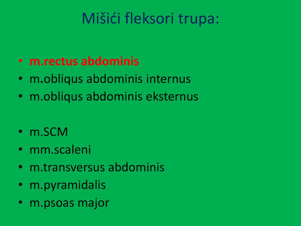 Mišići fleksori trupa: