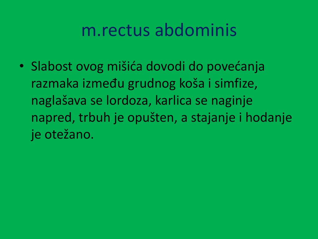 m.rectus abdominis