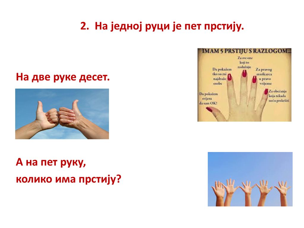2. На једној руци је пет прстију.