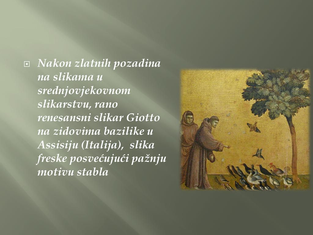 Nakon zlatnih pozadina na slikama u srednjovjekovnom slikarstvu, rano renesansni slikar Giotto na zidovima bazilike u Assisiju (Italija), slika freske posvećujući pažnju motivu stabla
