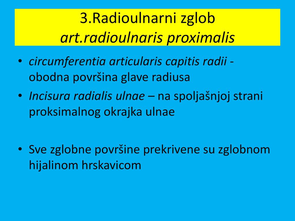 3.Radioulnarni zglob art.radioulnaris proximalis