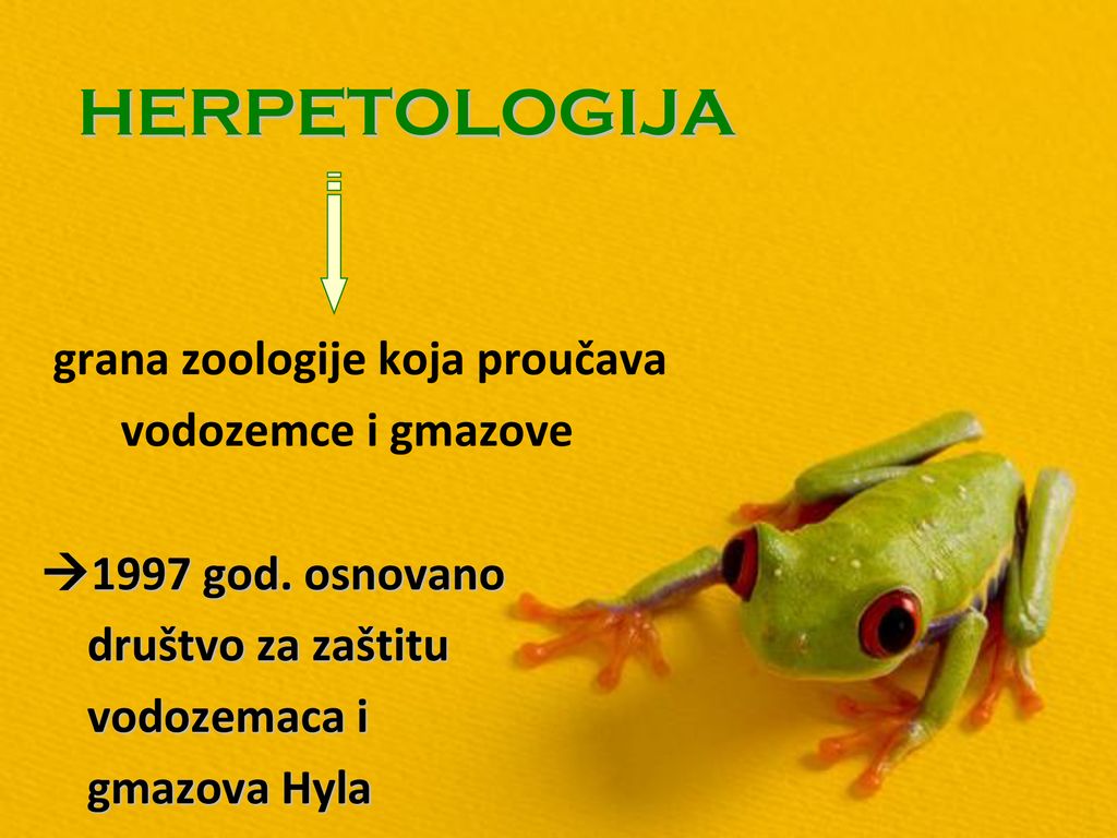 HERPETOLOGIJA grana zoologije koja proučava vodozemce i gmazove
