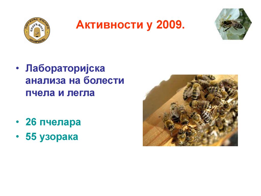 Активности у Лабораторијска анализа на болести пчела и легла