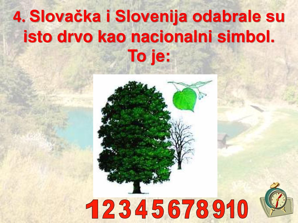 4. Slovačka i Slovenija odabrale su isto drvo kao nacionalni simbol