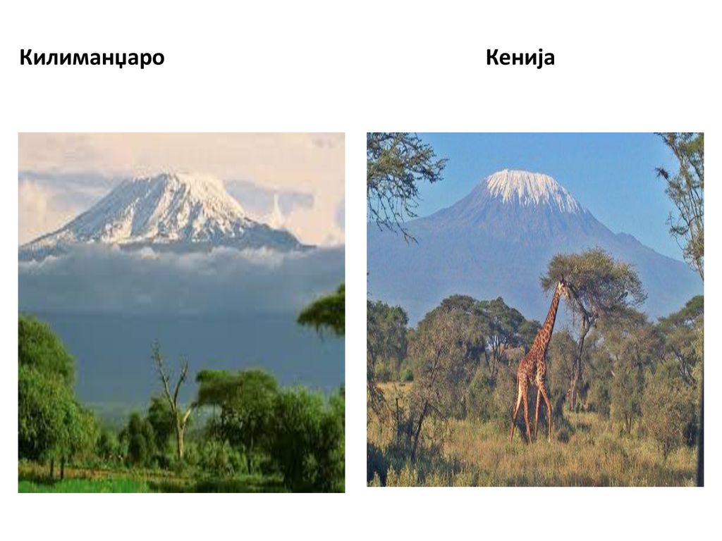 Килиманџаро Кенија