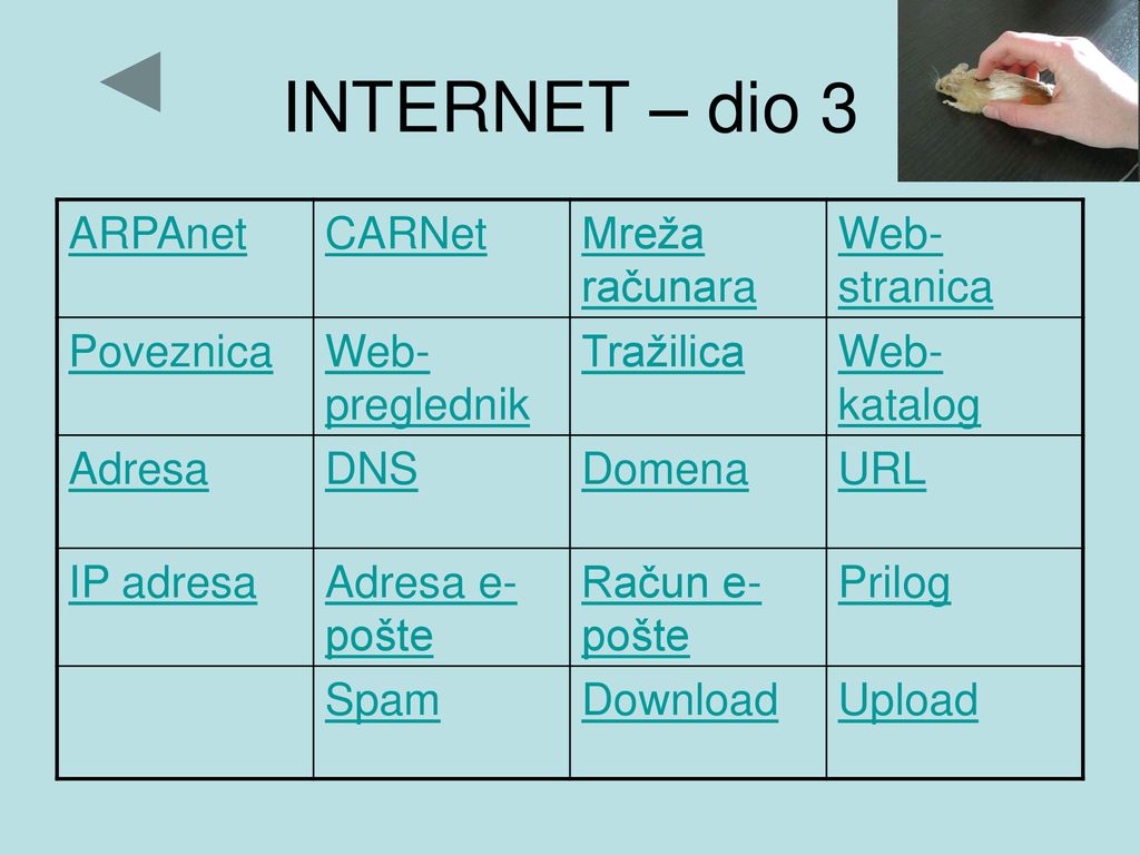 INTERNET – dio 3 ARPAnet CARNet Mreža računara Web-stranica Poveznica