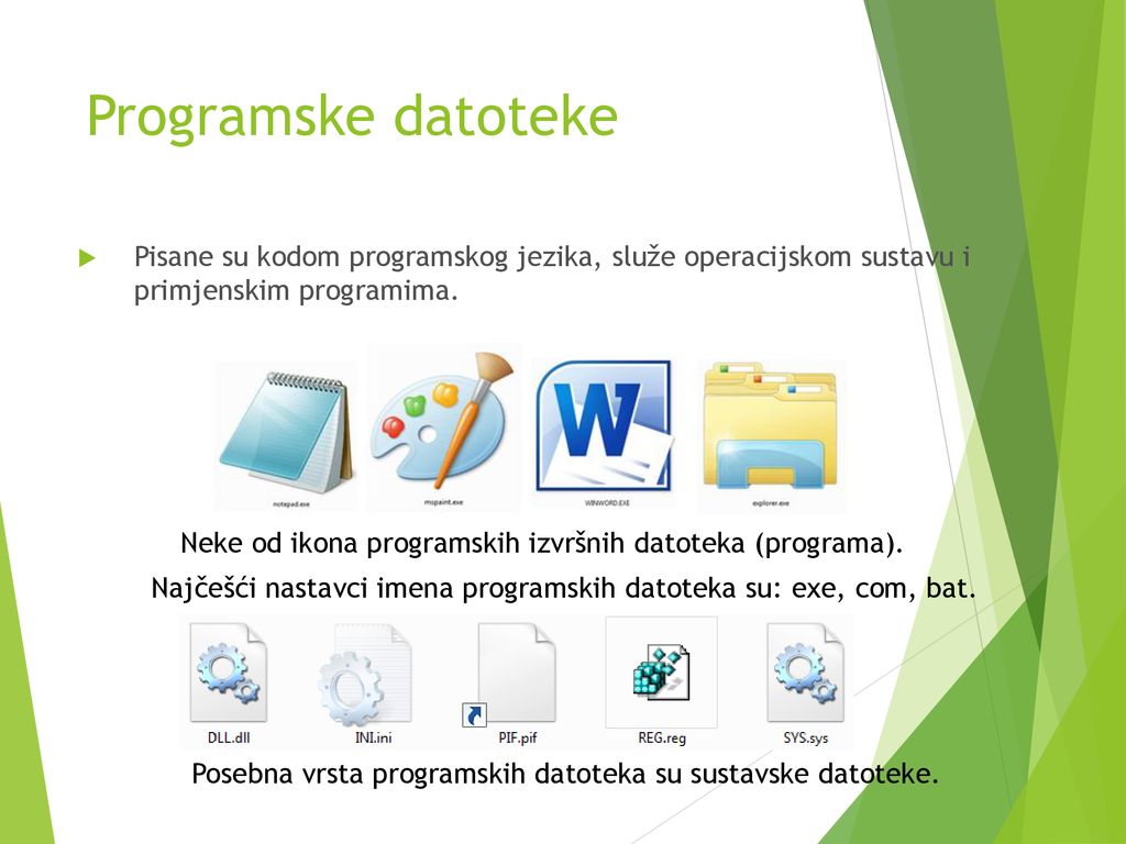 Programske datoteke Pisane su kodom programskog jezika, služe operacijskom sustavu i primjenskim programima.