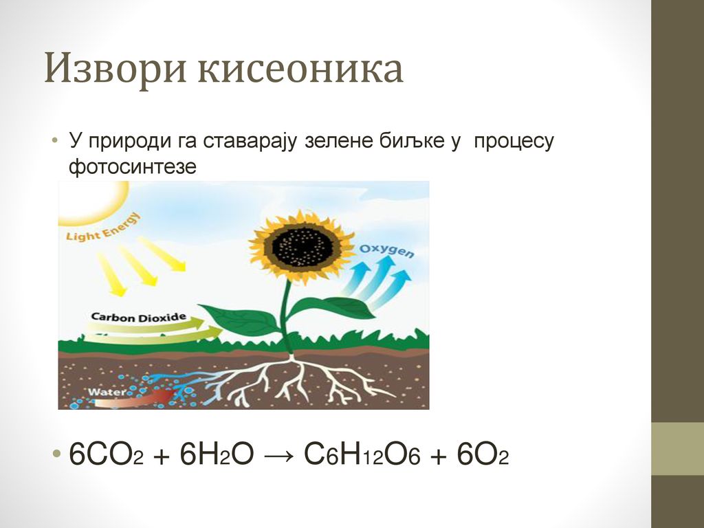 Извори кисеоника 6CO2 + 6H2O → C6H12O6 + 6O2