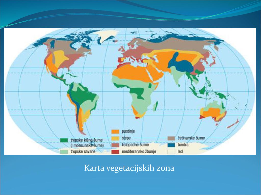 Karta vegetacijskih zona