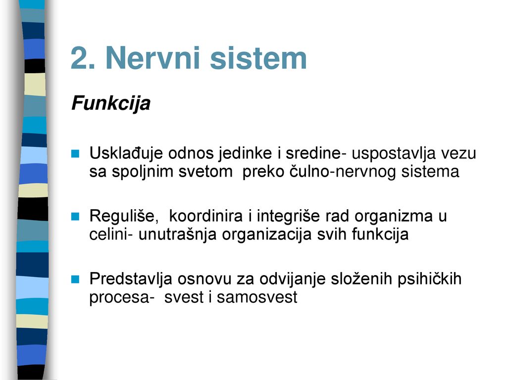 2. Nervni sistem Funkcija