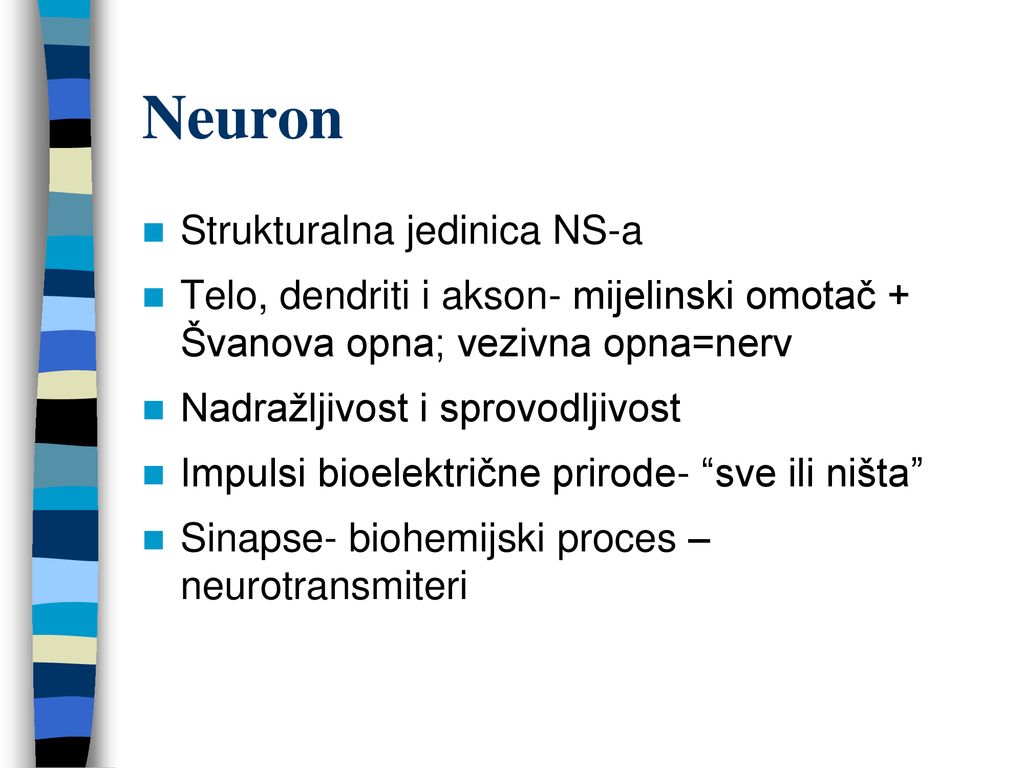 Neuron Strukturalna jedinica NS-a