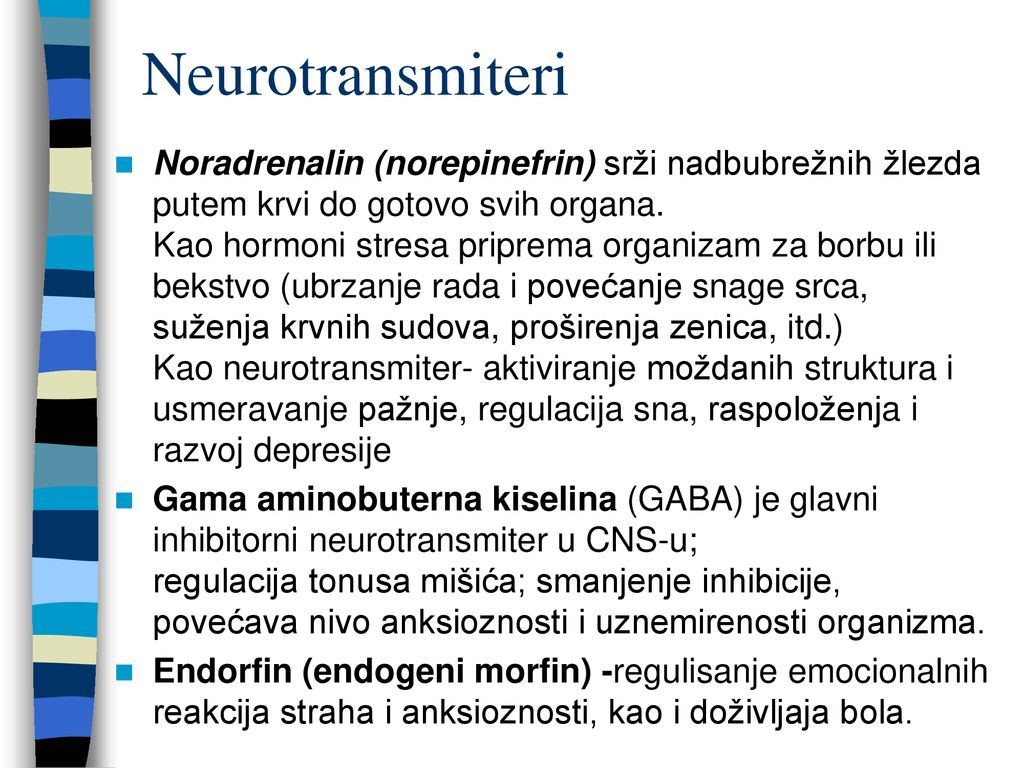 Neurotransmiteri