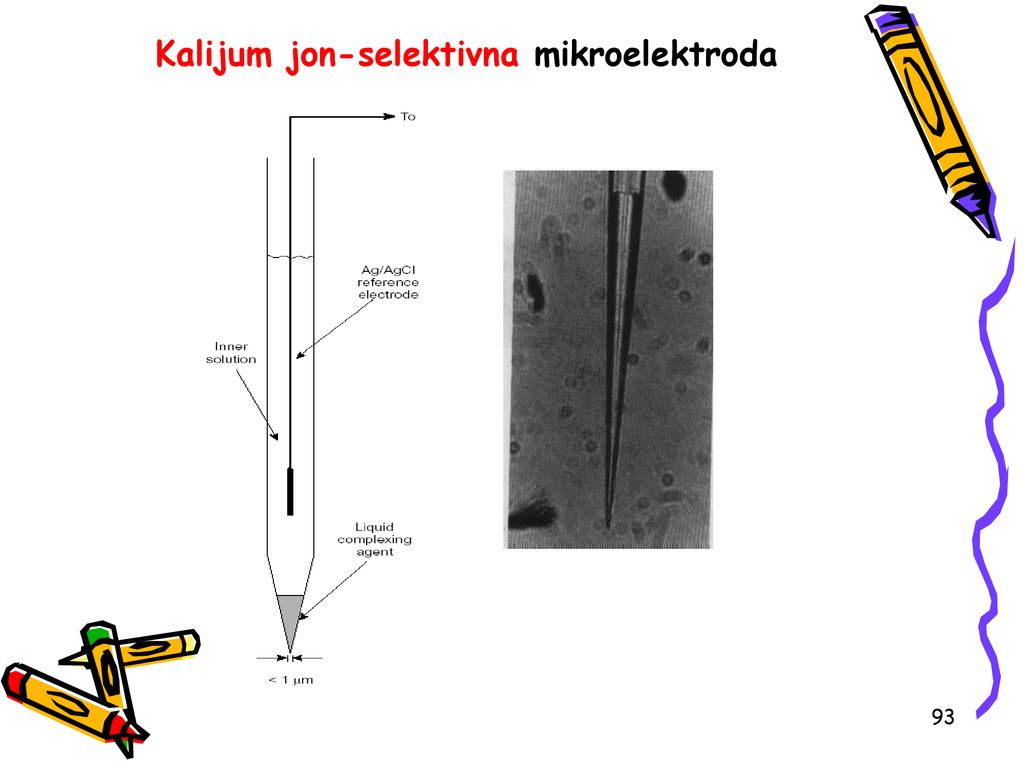 Kalijum jon-selektivna mikroelektroda
