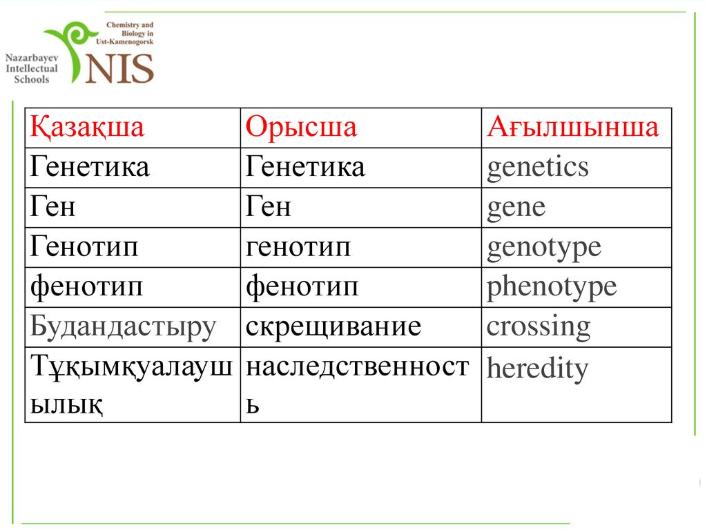 Қазақша Орысша. Ағылшынша. Генетика. genetics. Ген. gene. Генотип. генотип. genotype. фенотип.