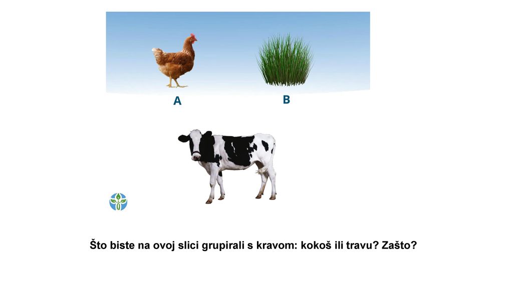 Što biste na ovoj slici grupirali s kravom: kokoš ili travu Zašto