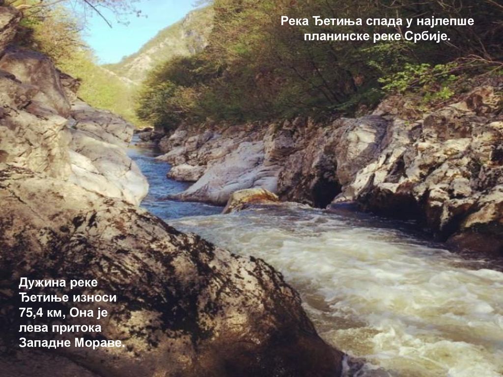 Река Ђетиња спада у најлепше планинске реке Србије.