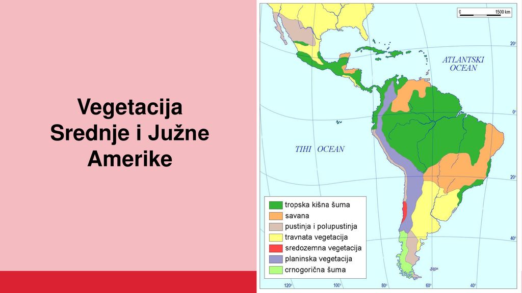 Vegetacija Srednje i Južne Amerike
