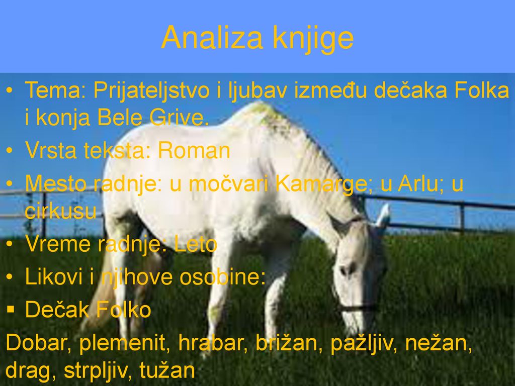 Analiza knjige Tema: Prijateljstvo i ljubav između dečaka Folka i konja Bele Grive. Vrsta teksta: Roman.